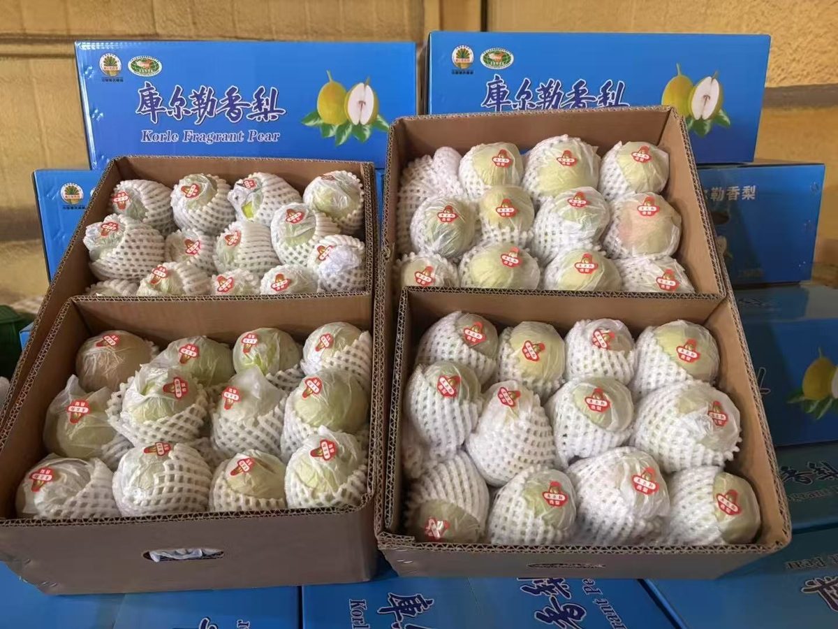 库尔勒香梨出口,新疆地理标志小果型香梨,Korla fragrant pear bulk supply from China